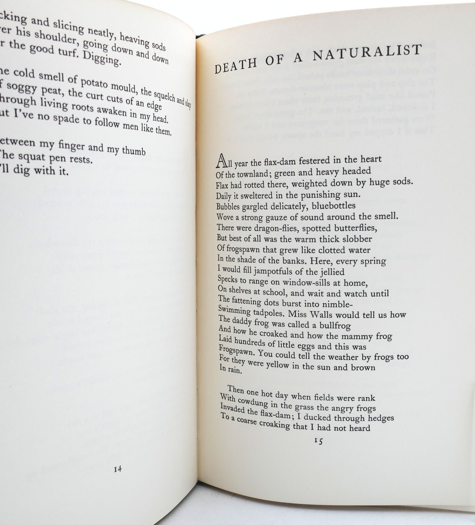 Death of a Naturalist. First Edition (1966) - Image 8