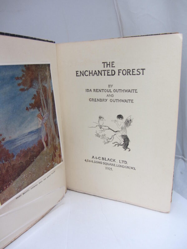 The Enchanted Forest by Ida Rentoul Outhwaite & Grenbry