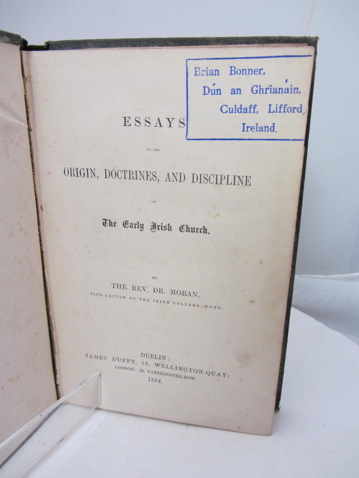 Irish colonization of america image