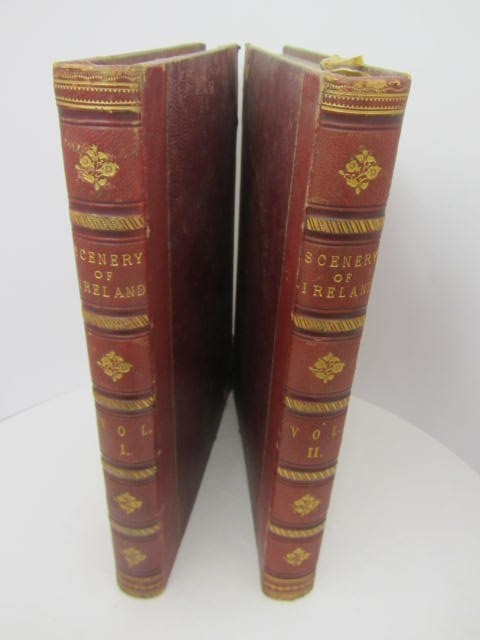 The Scenery and Antiquities of Ireland.  Two Volumes (1841) by W.J. Bartlett