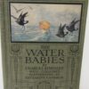 The Water Babies.  A Fairy Tale of a Land-Baby (1920) by Charles Kingsley
