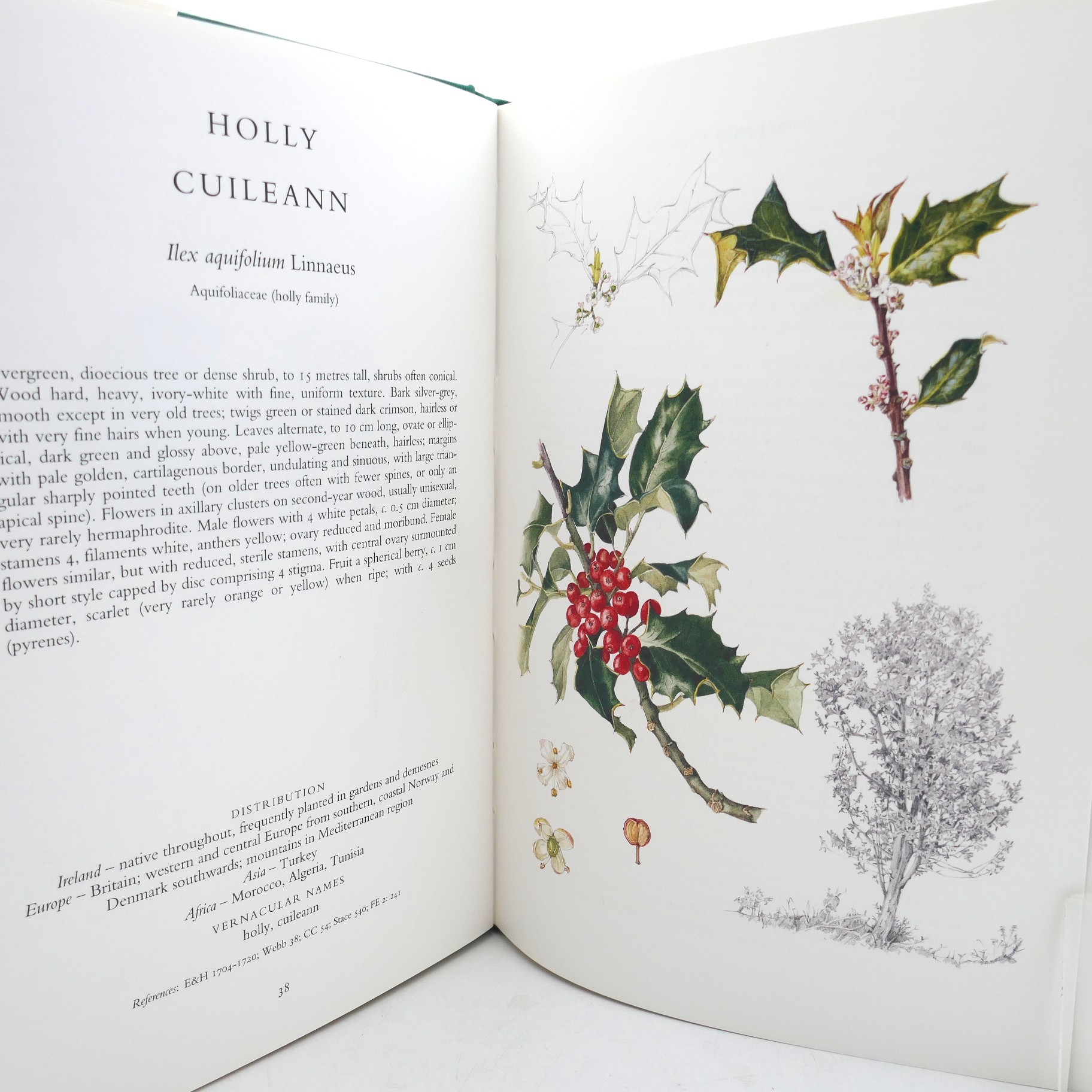 The Trees of Ireland (1993) - Image 3