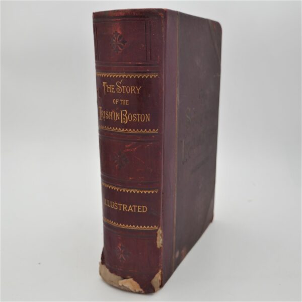 The Story of the Irish in Boston (1890)