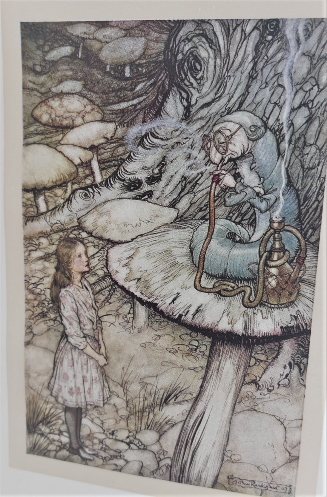 Alice s Adventures In Wonderland Illustrated By Arthur Rackham 1909 