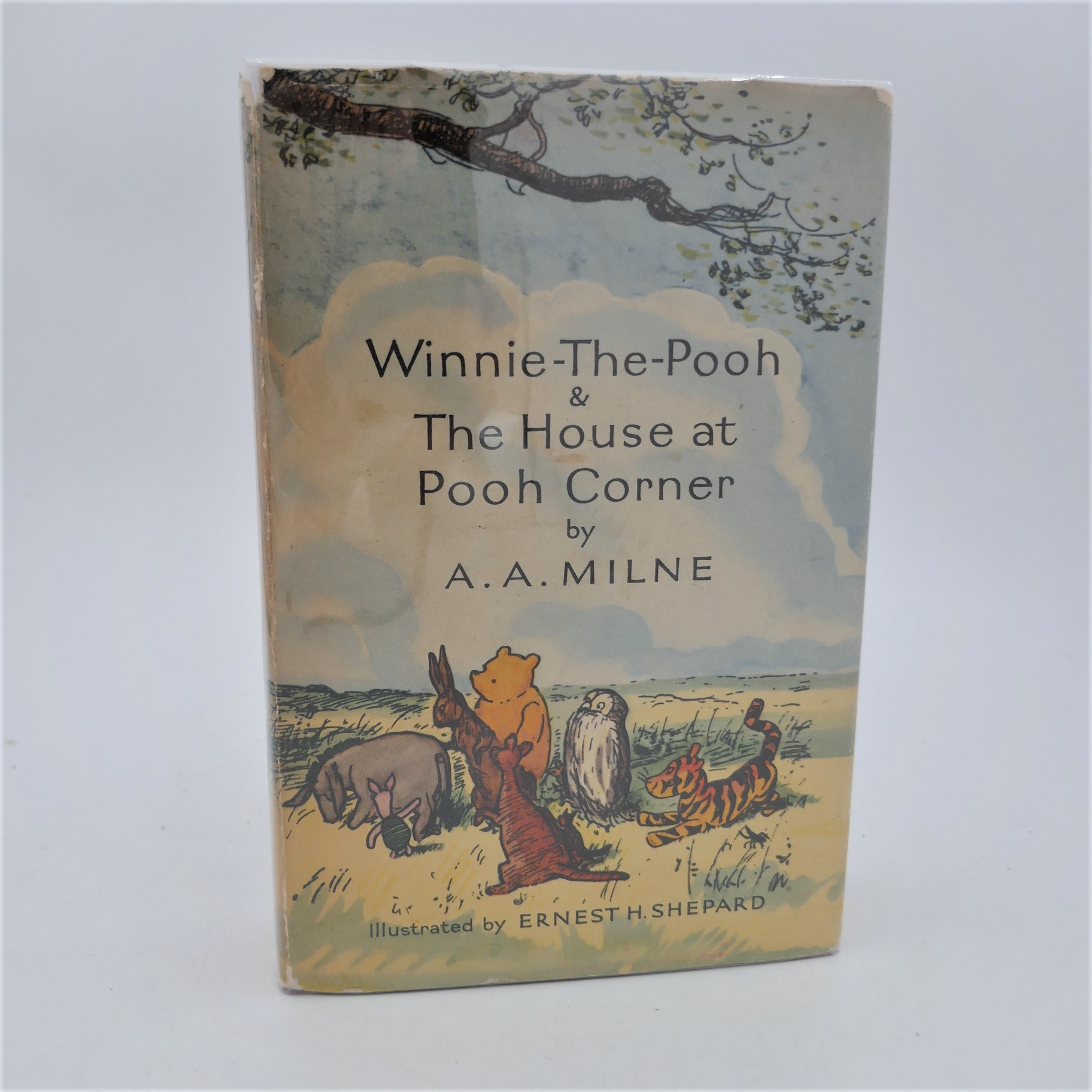 Winnie the Pooh: A Gift for Pooh : Miller, Sara F: : Books
