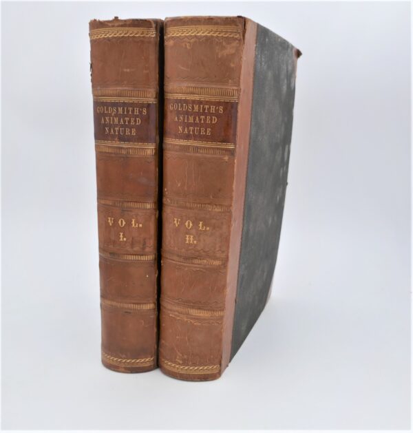 Goldsmith's History of Animated Nature. With Coloured Plates (1868)