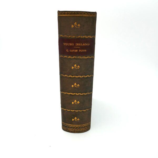 Young Ireland. A Fragment of Irish History (1880)