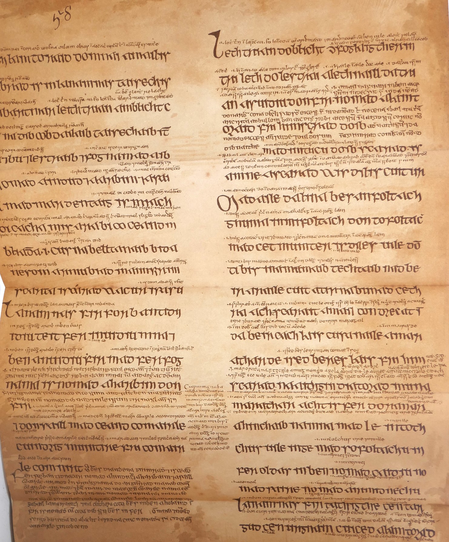 67601d