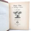 Peter Pan in Kensington Gardens. Illustrated by Arthur Rackham (1906) - Image 10