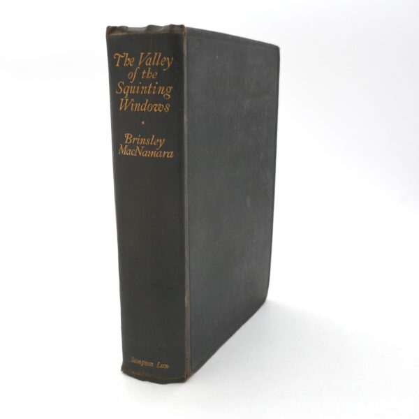 The Valley of the Squinting Windows (1920)