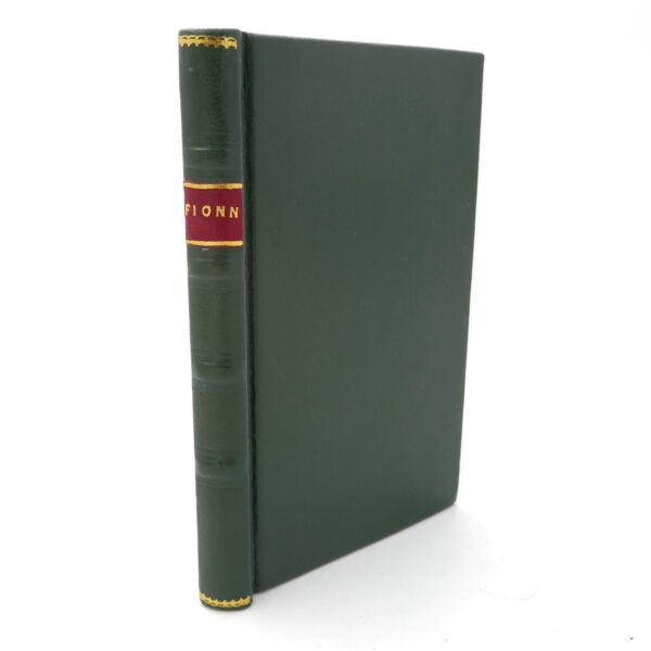 The Youthful Exploits Of Fionn (1896)