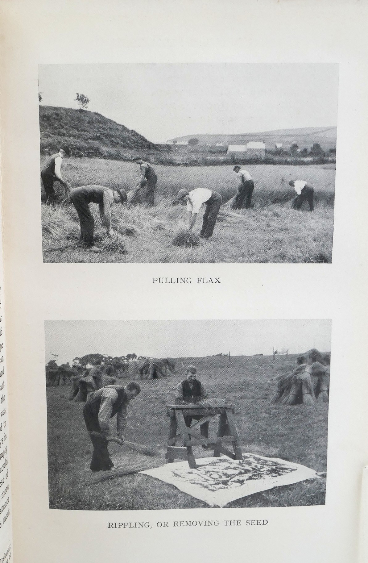 P1260652