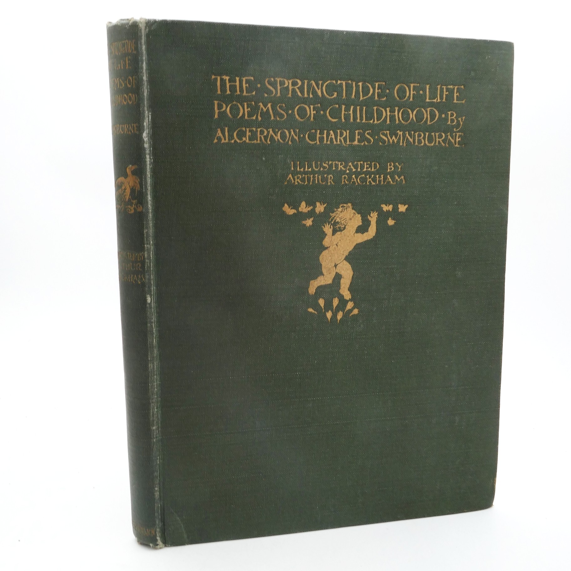 The Springtide of Life.  Illustrated by Arthur Rackham (1918)
