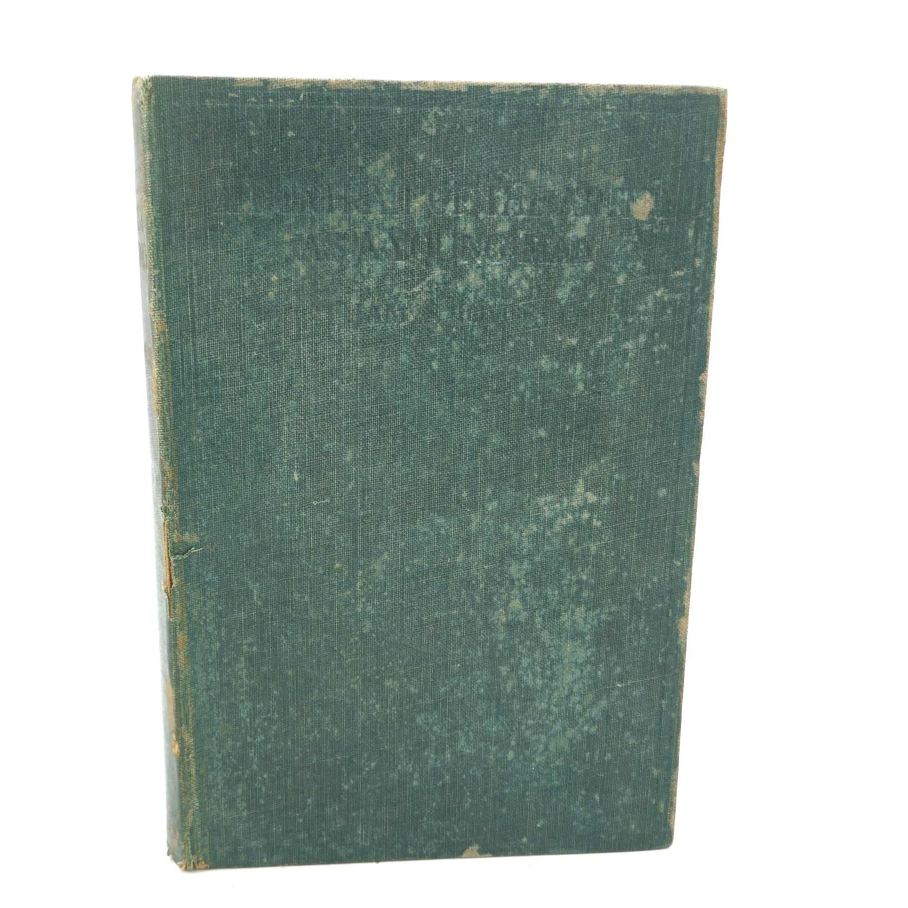 A Portrait of the Artist as a Young Man (1917)