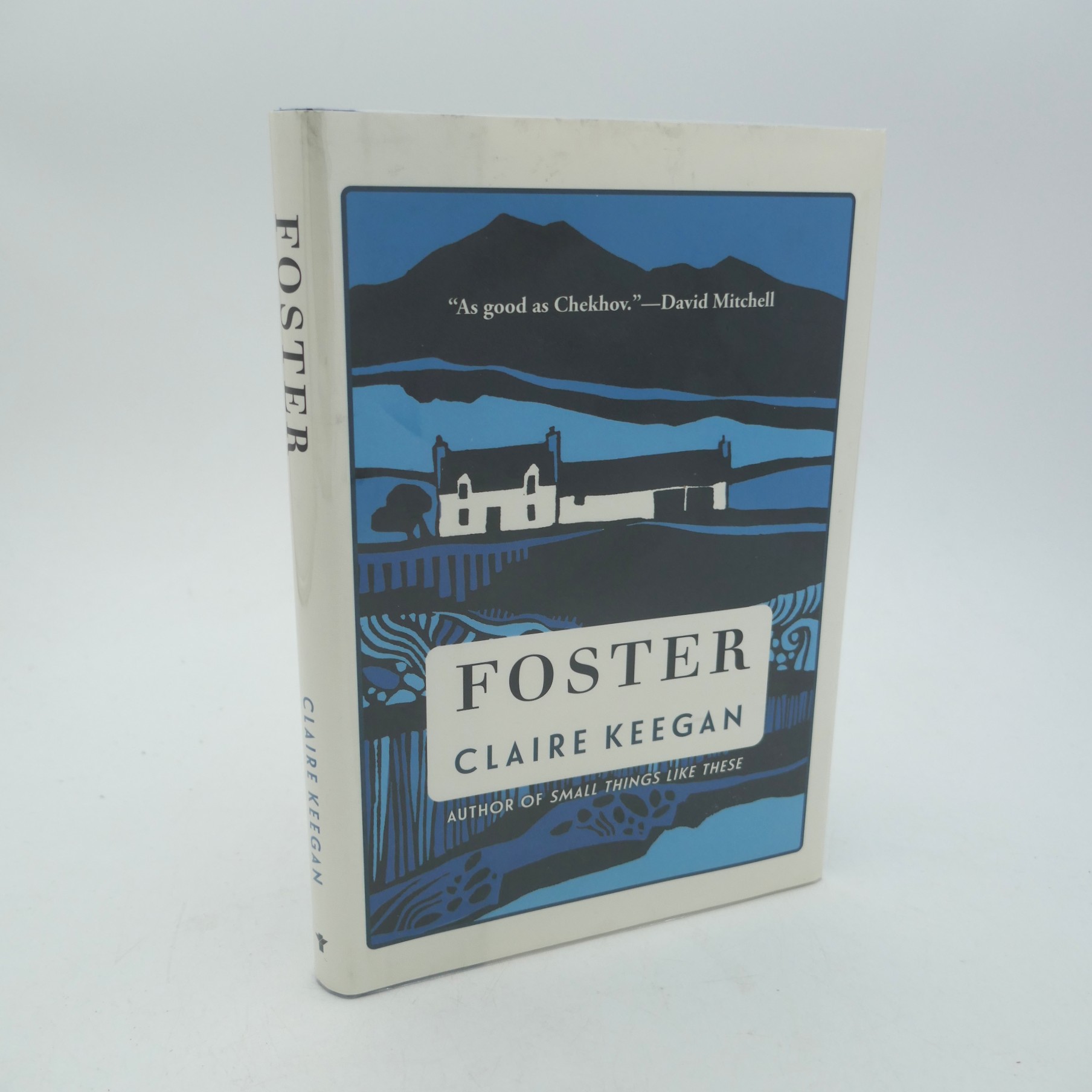 Foster. First American Edition (2022)