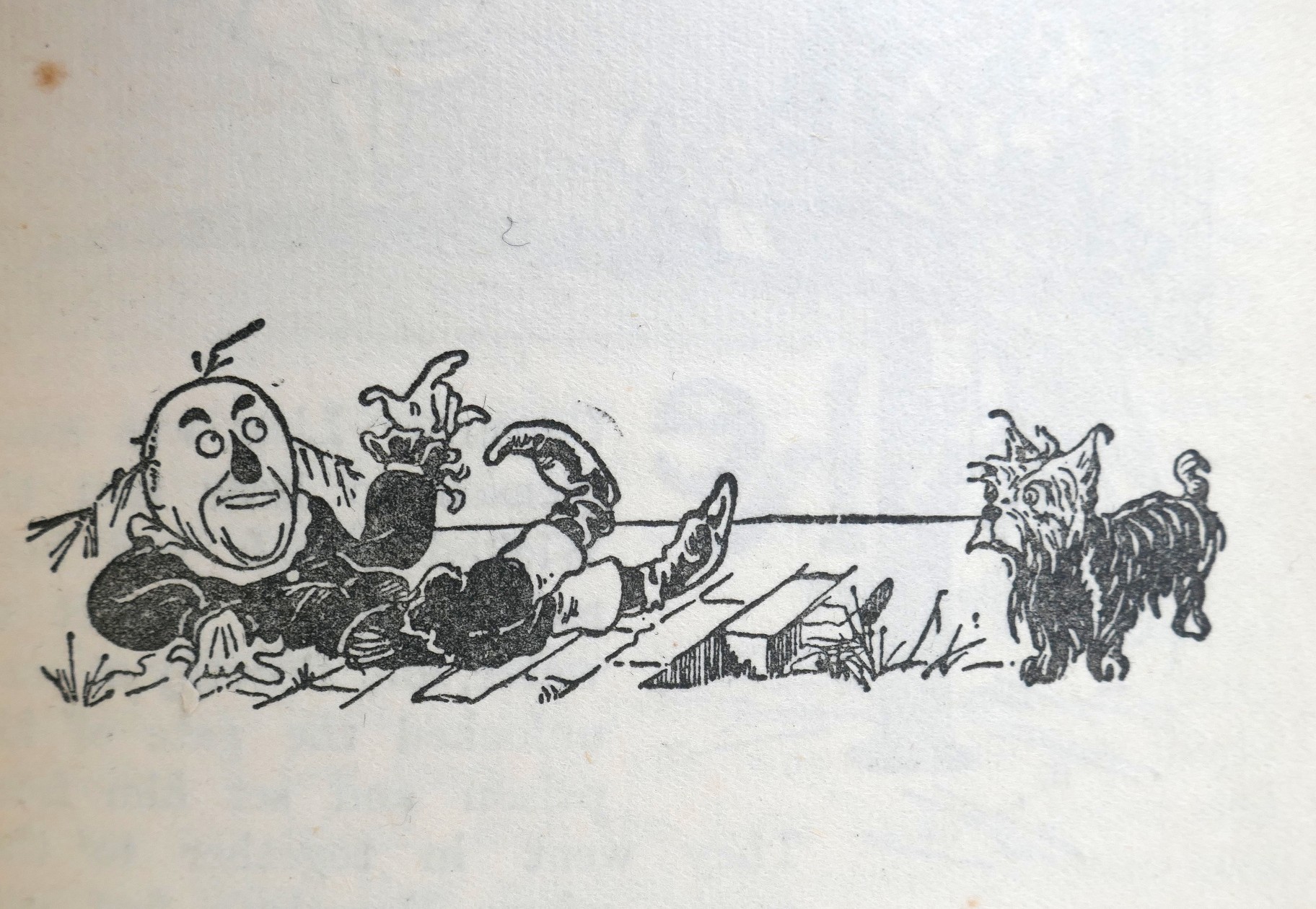 The Wizard of Oz. Pictures by W.W. Denslow (1926) - Image 5