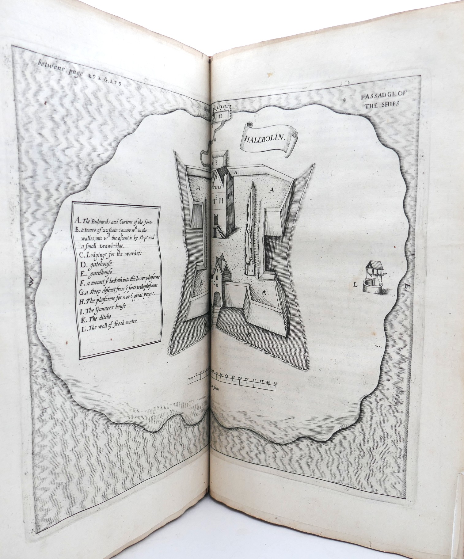 Pacata Hibernia. A History of the Wars in Ireland, During the Reign of Queen Elizabeth (1633) - Image 12