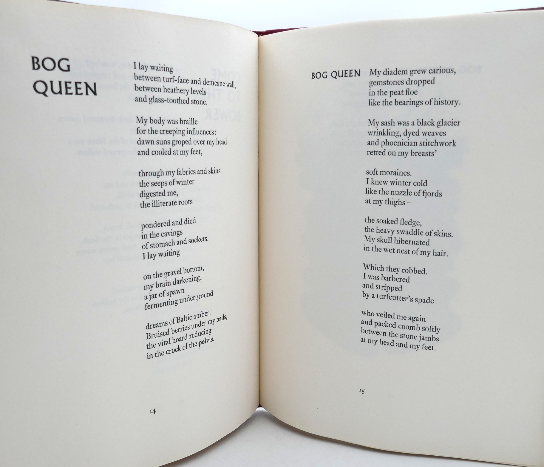 Bog Poems. Illustrated by Barrie Cooke (1975) - Image 8
