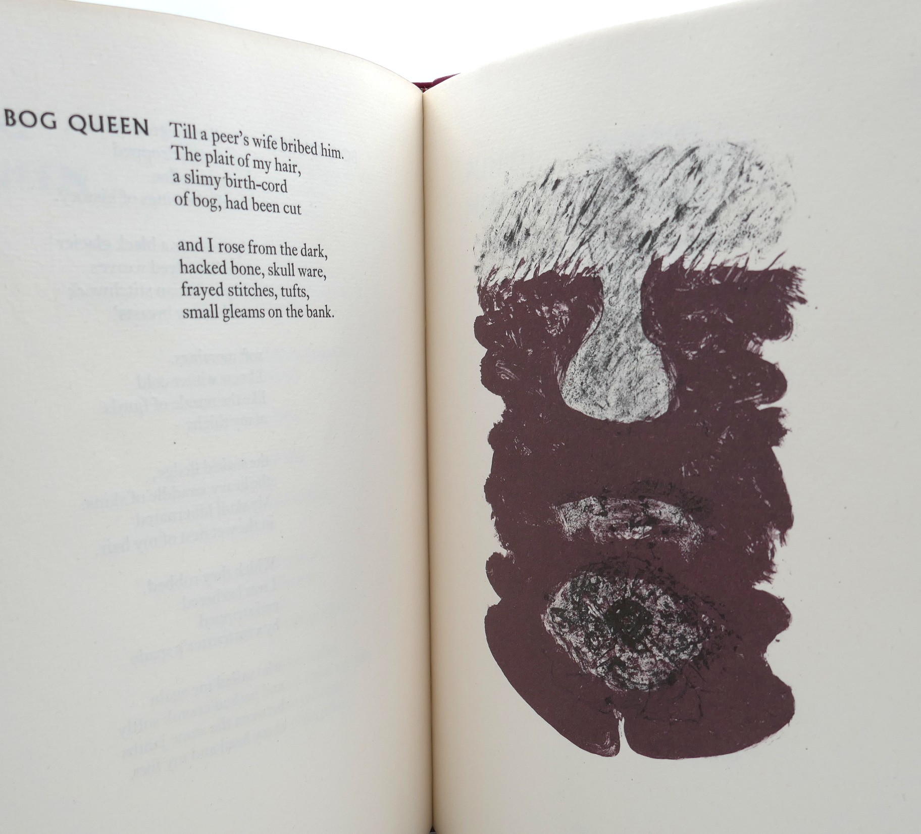 Bog Poems. Illustrated by Barrie Cooke (1975) - Image 9