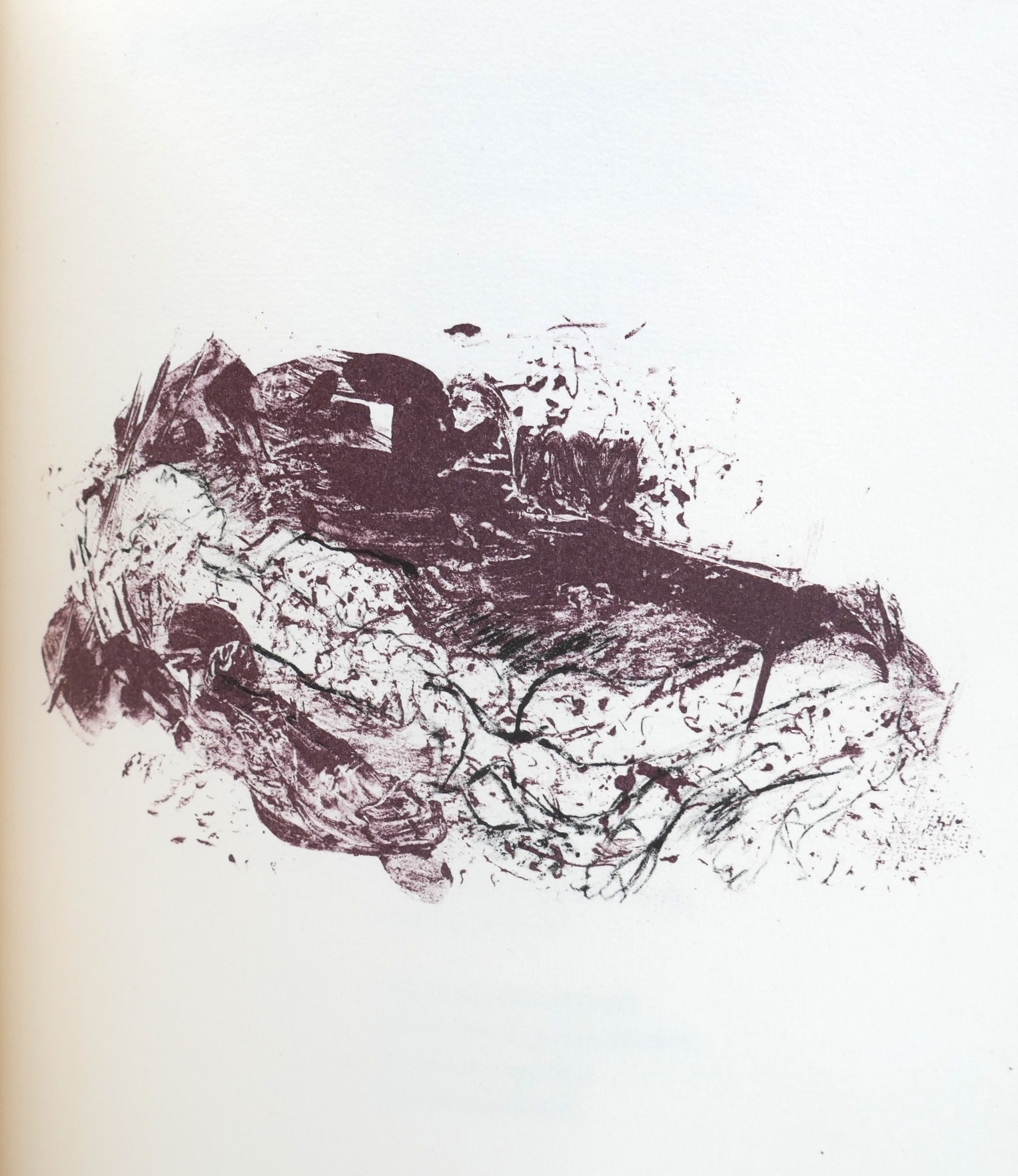 Bog Poems. Illustrated by Barrie Cooke (1975) - Image 10