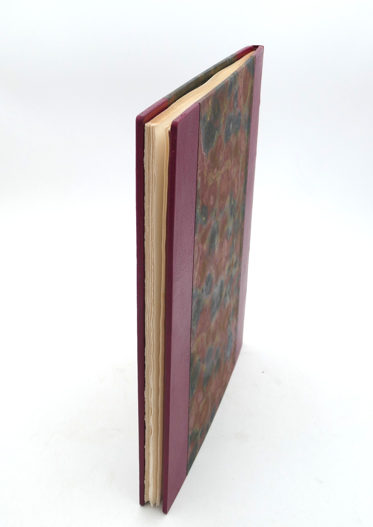 Bog Poems. Illustrated by Barrie Cooke (1975) - Image 12