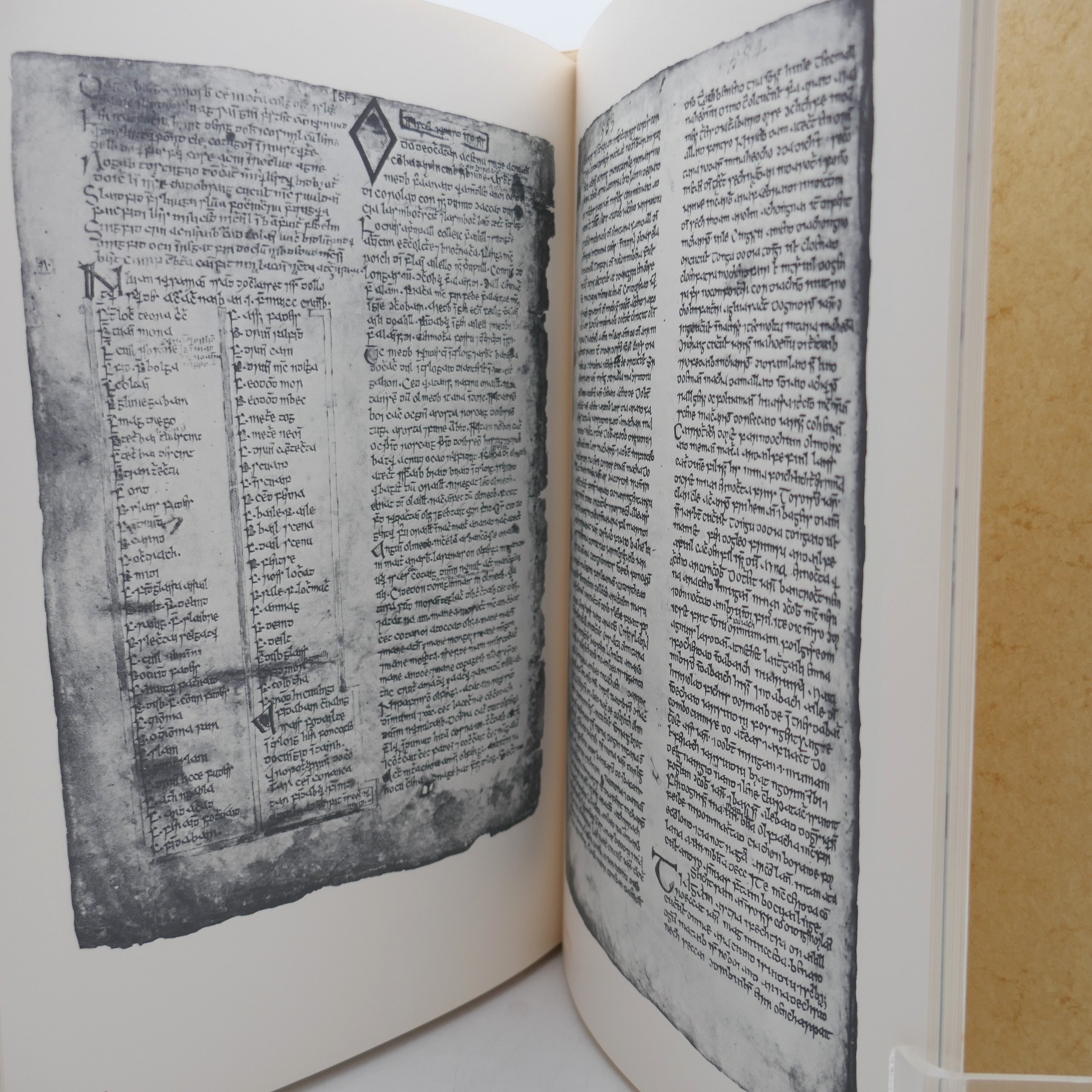 The Tain. One of Six Specially Bound Copies (1969) - Image 9
