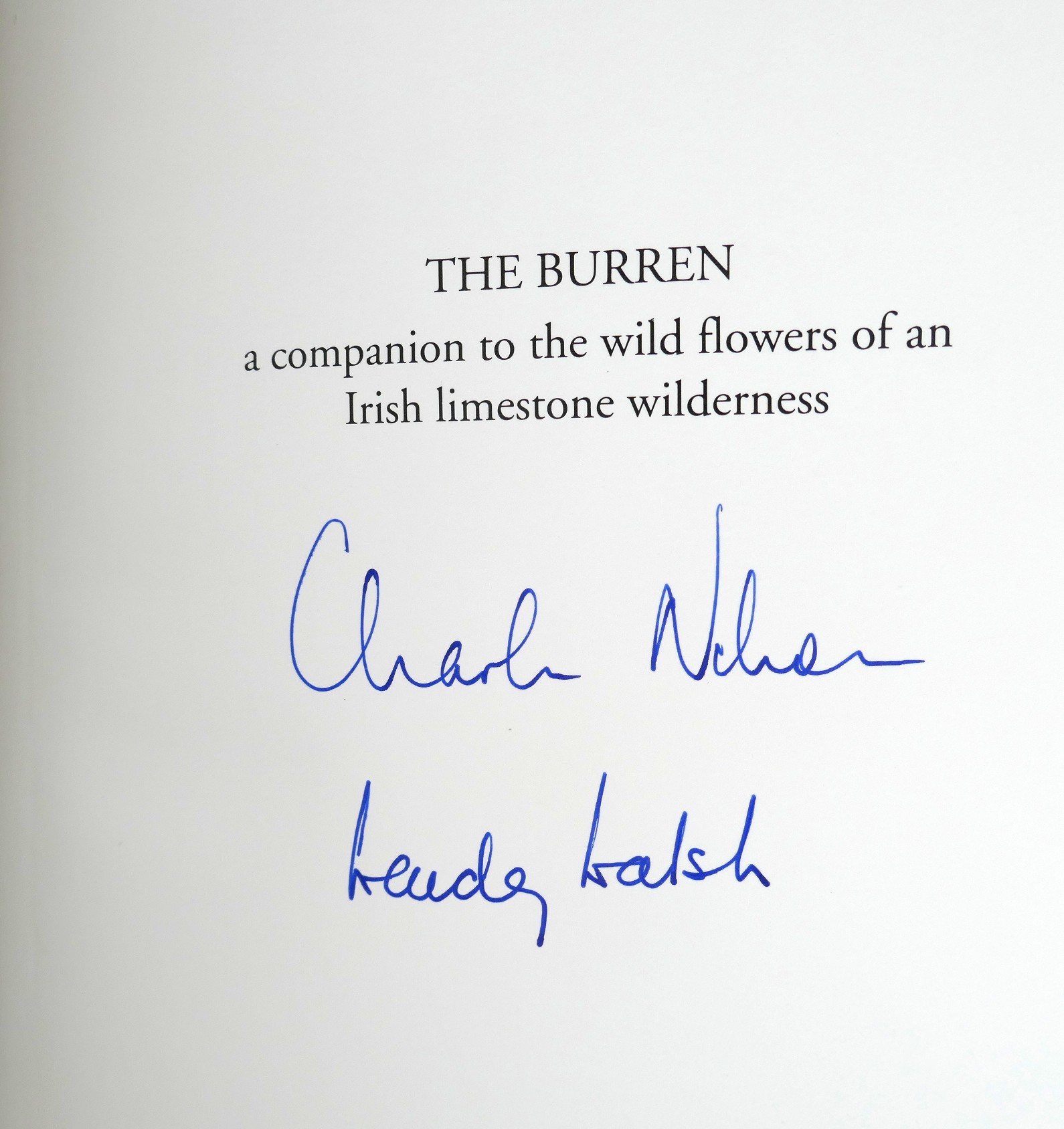The Burren. Irish Limestone Wilderness (1991) - Image 3