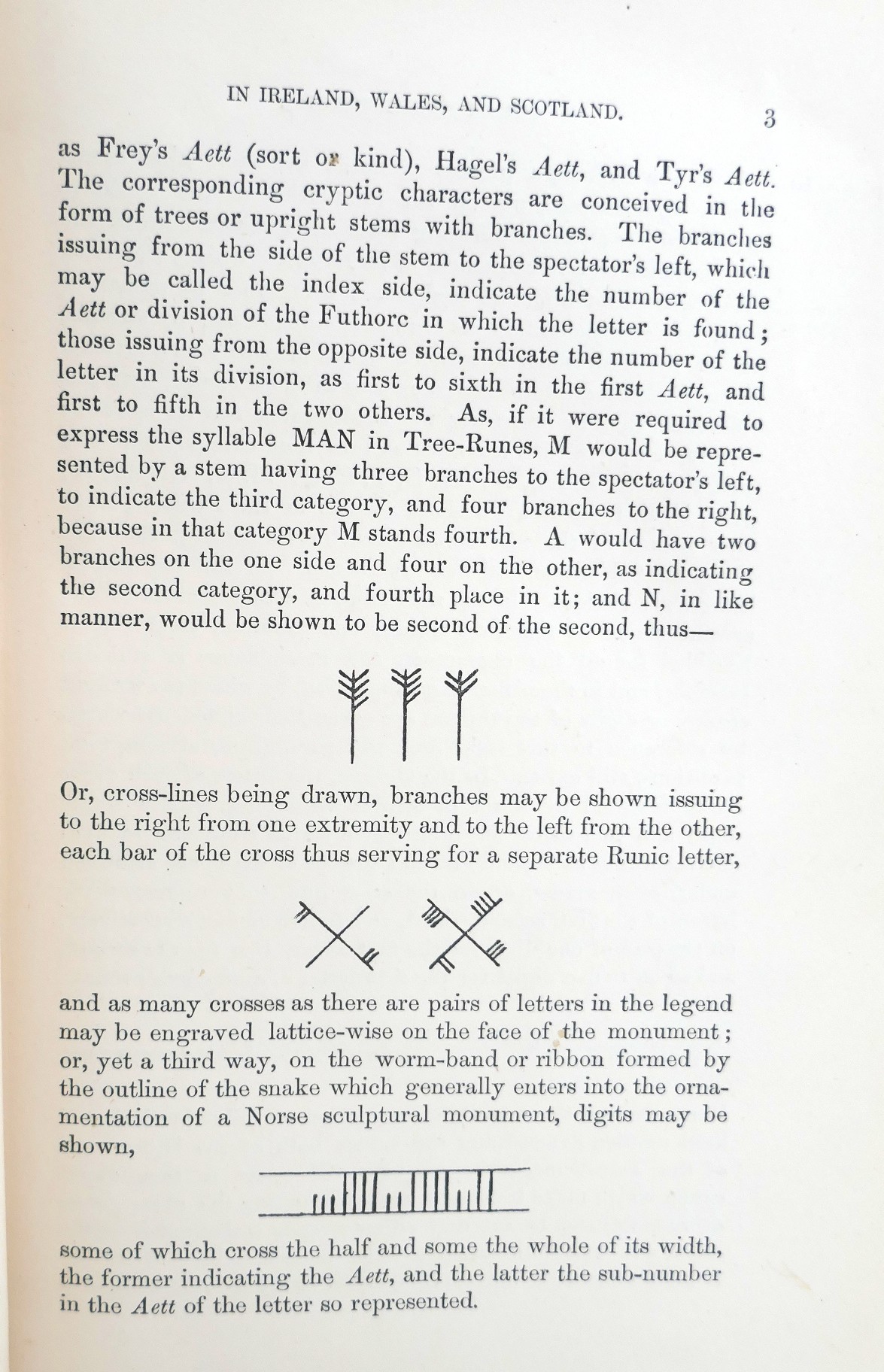 Ogham Inscriptions in Ireland, Wales, and Scotland (1887) - Image 3