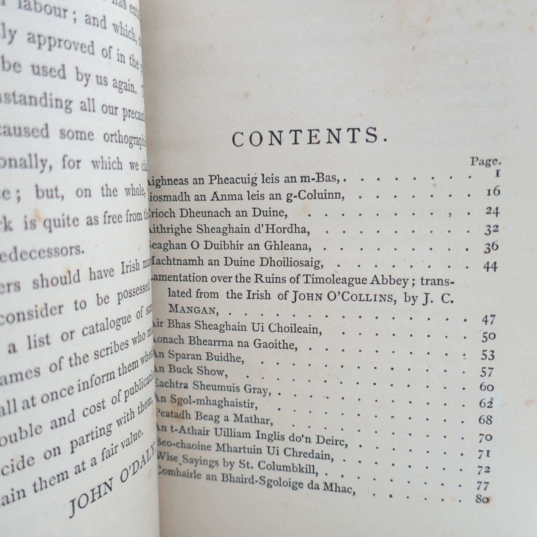 The Irish language Miscellany (1876) - Image 3