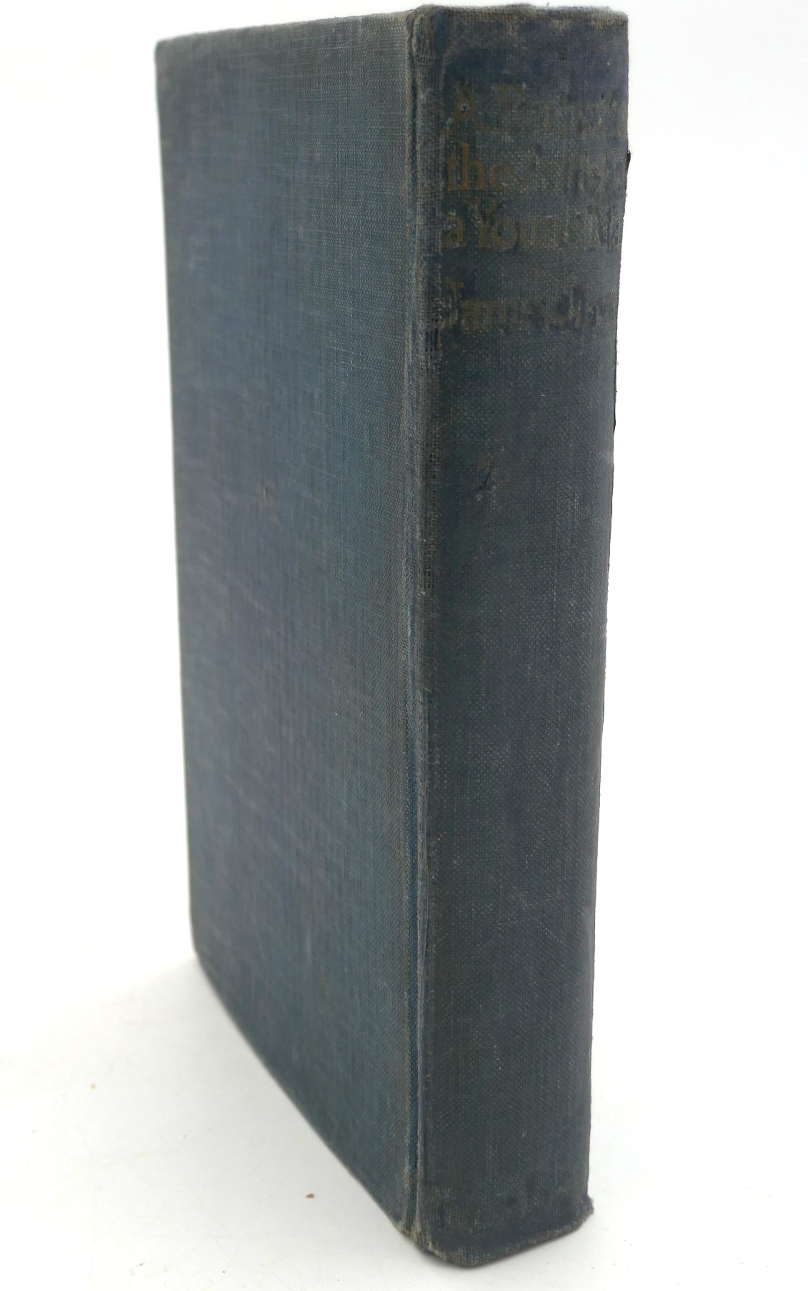 A Portrait of the Artist as a Young Man. Second Printing (1917) - Image 5