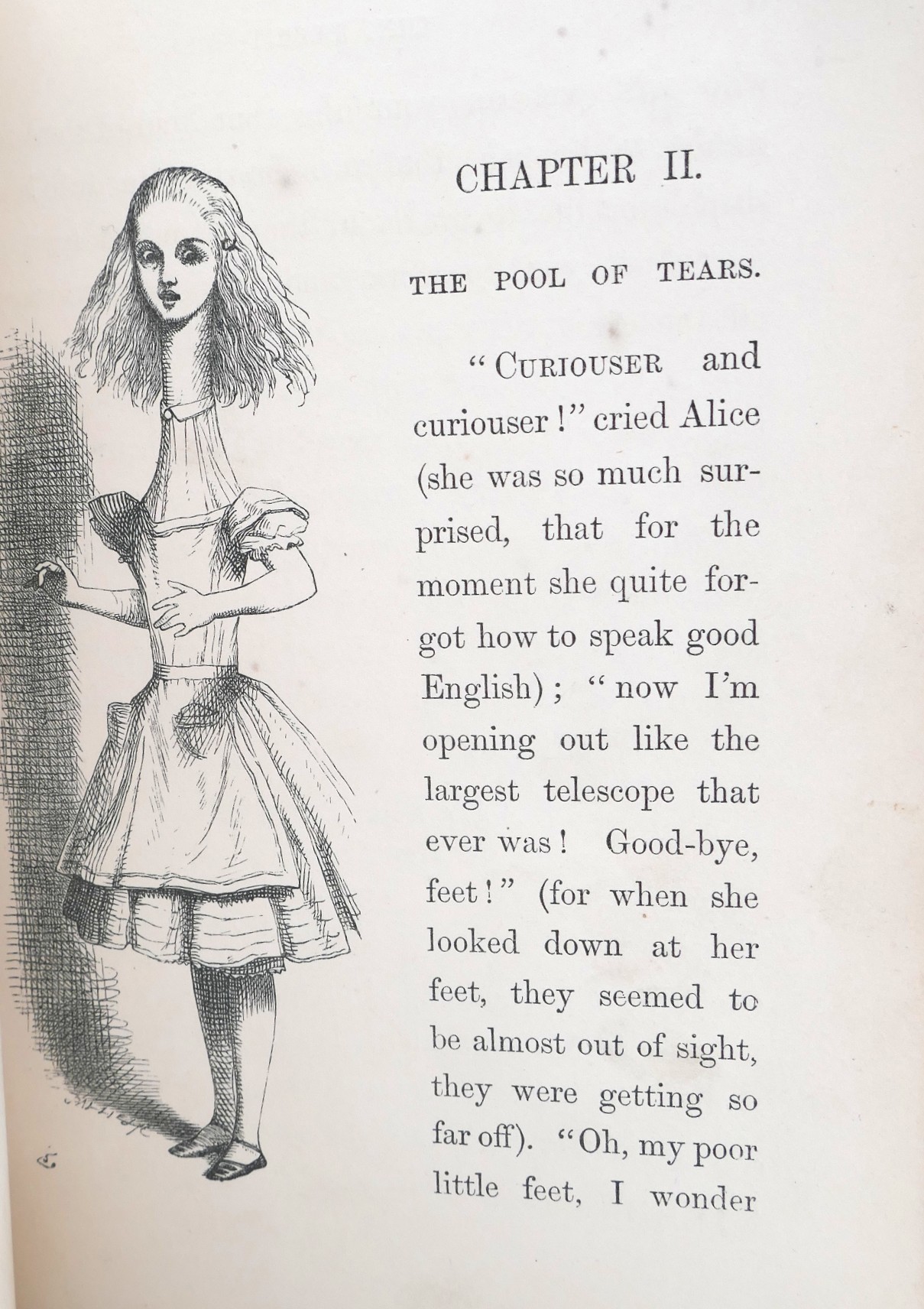 Alice's Adventures in Wonderland. Illustrations by John Tenniel (1876) - Image 5