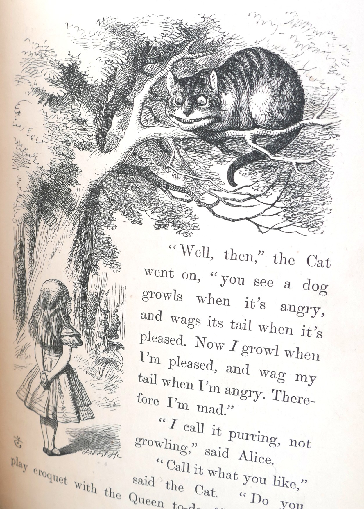 Alice's Adventures in Wonderland. Illustrations by John Tenniel (1876) - Image 6