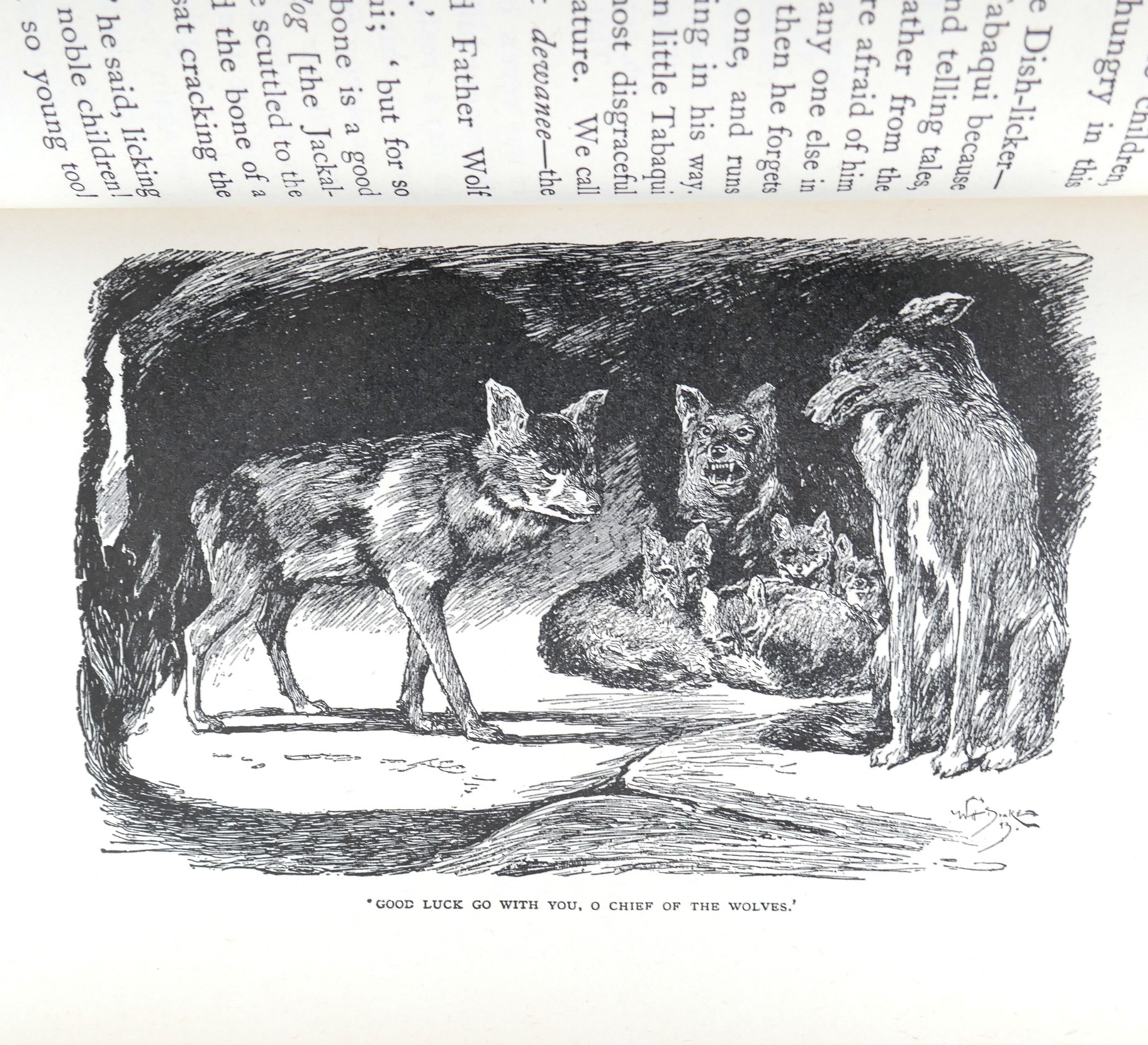 The Jungle Book and The Second Jungle Book. Fine Binding (1965) - Image 6