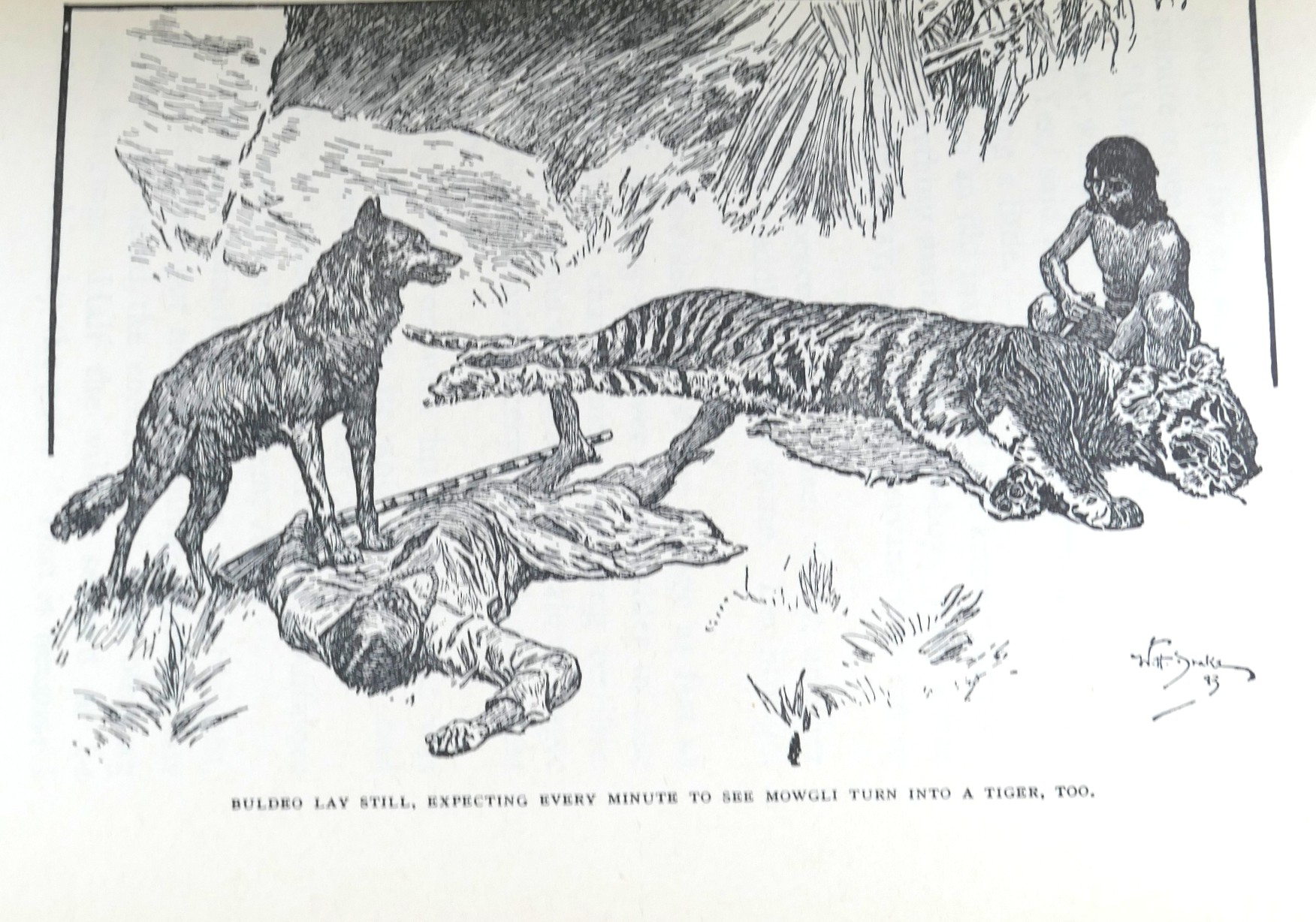 The Jungle Book and The Second Jungle Book. Fine Binding (1965) - Image 7