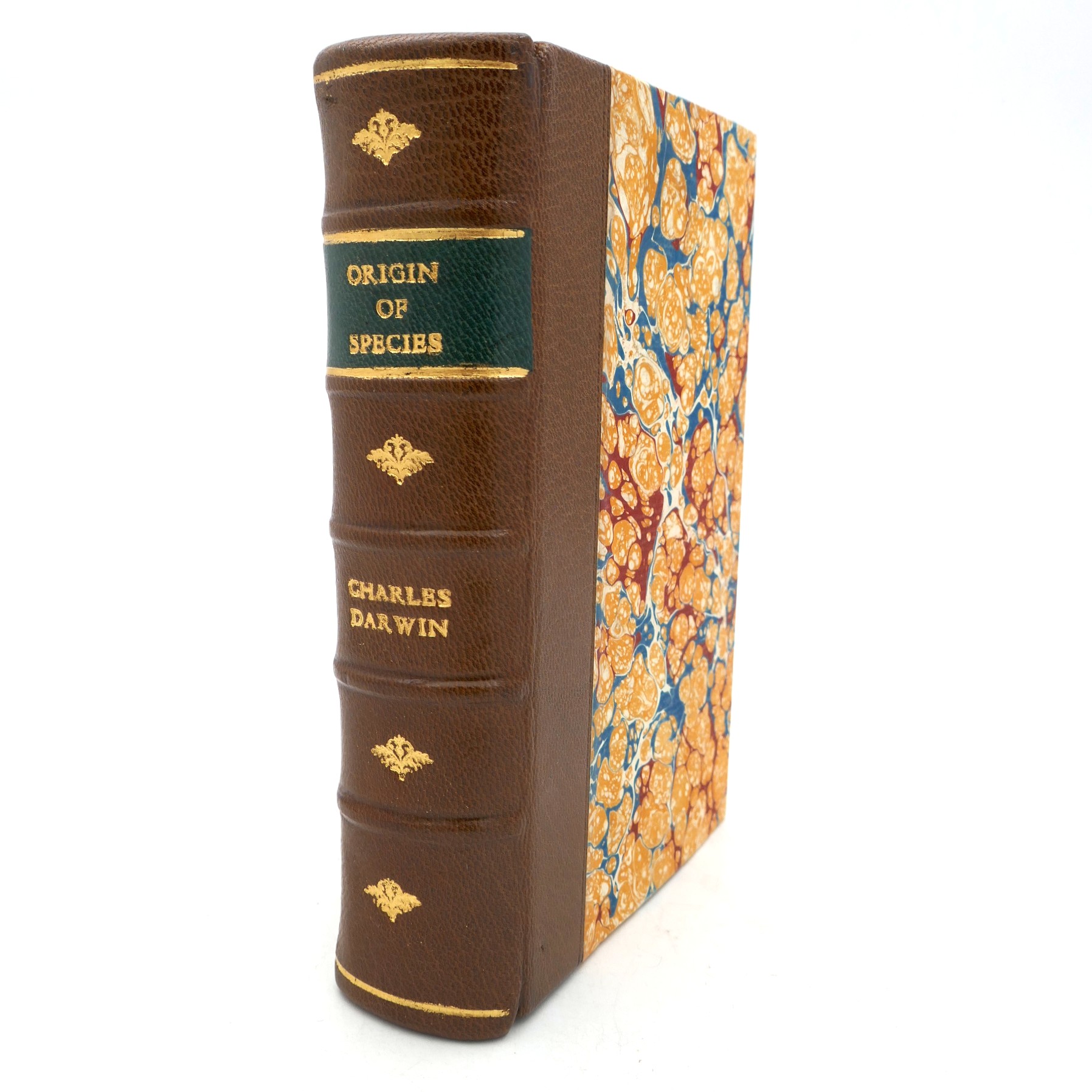 The Origin of Species by Means of Natural Selection (1904)
