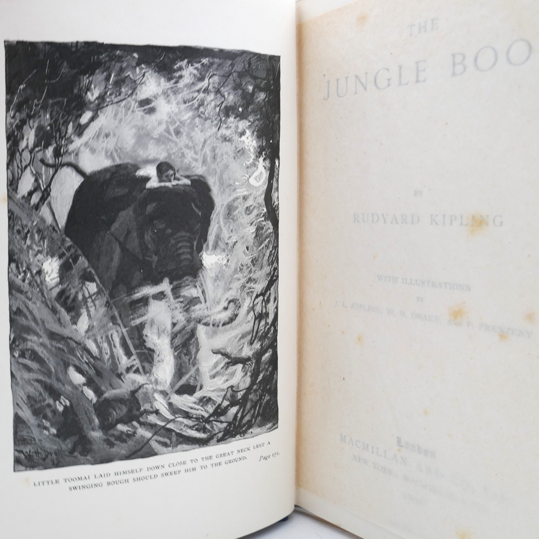The Jungle Book (1896) - The Second Jungle Book (1895) - Image 4