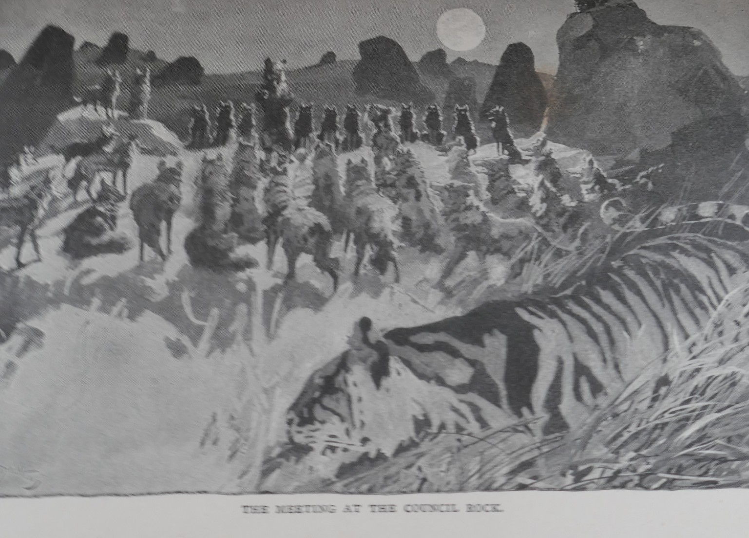 The Jungle Book (1896) - The Second Jungle Book (1895) - Image 6